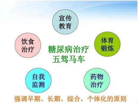 j9游会真人游戏第一品牌会选会烹吃动平衡！“糖妈妈”饮食攻略来了(图4)