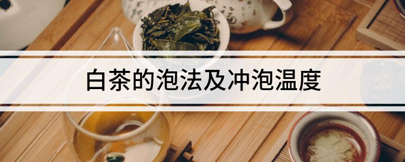 j9九游会白茶的泡法及冲泡温度(图1)