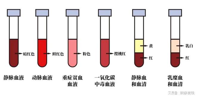 j9游会真人游戏第一品牌四个日常体检小常识(图1)